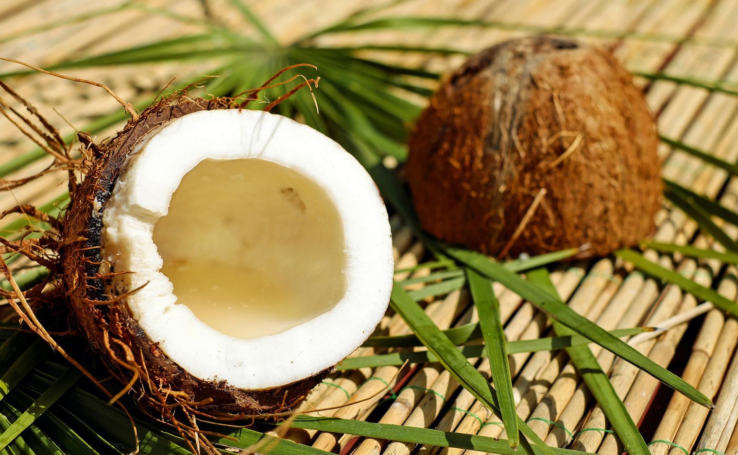 coconut export